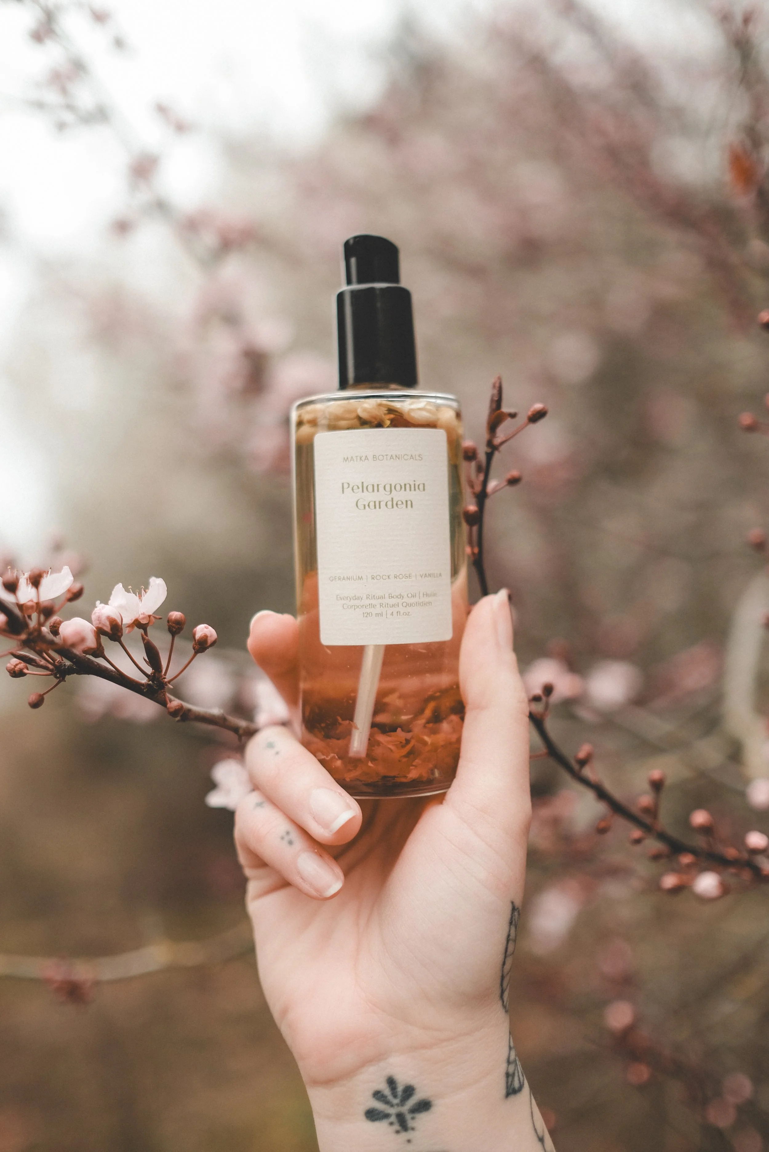 Cherry Blossoms warm.jpg