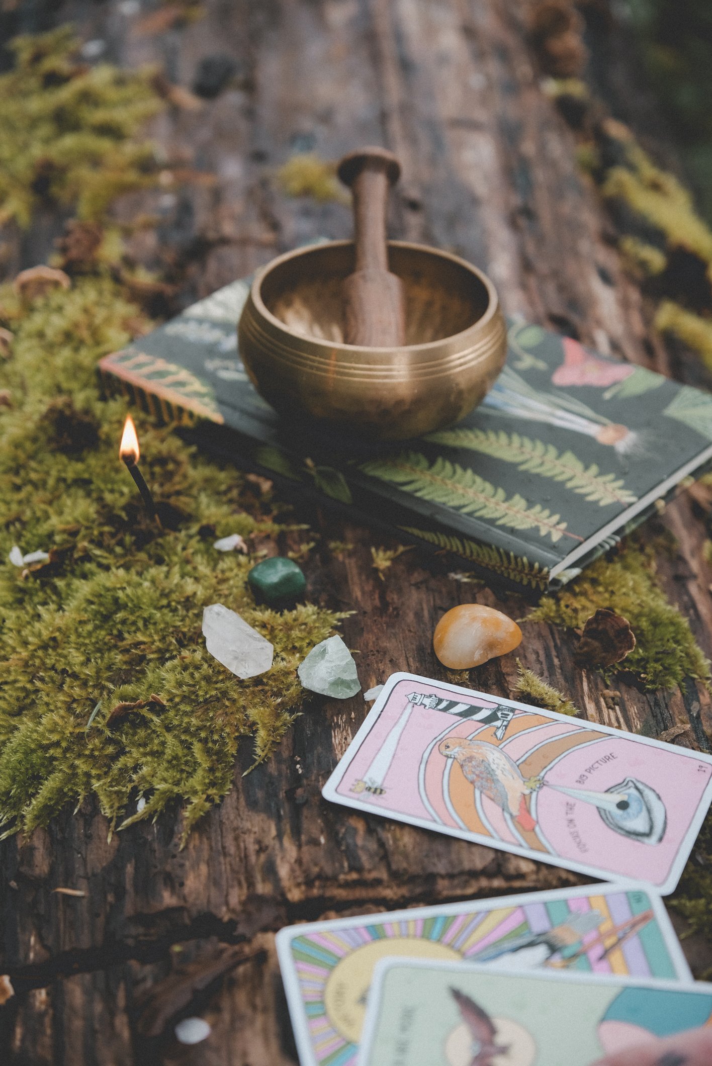 Bowel Rebellion Collab (25 of 58).jpg