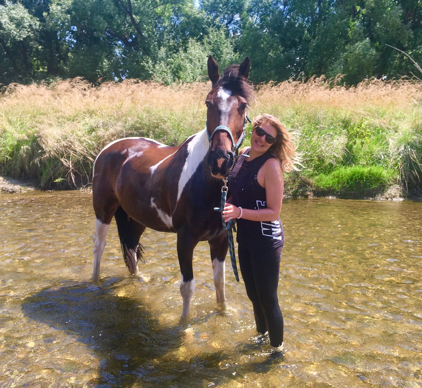 drinking horsewater horse.jpg