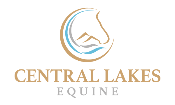 Central-Lakes-Equine.png