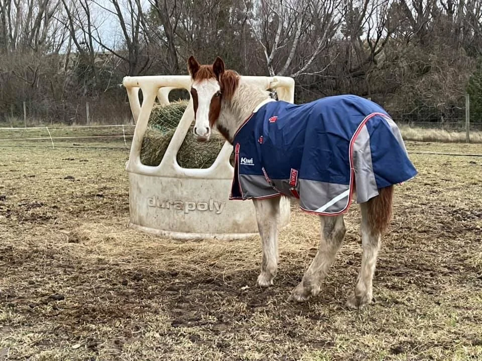 Hay Shortage This Winter