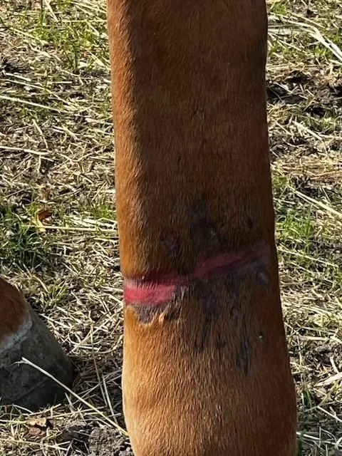 Temporary Fencing Risks