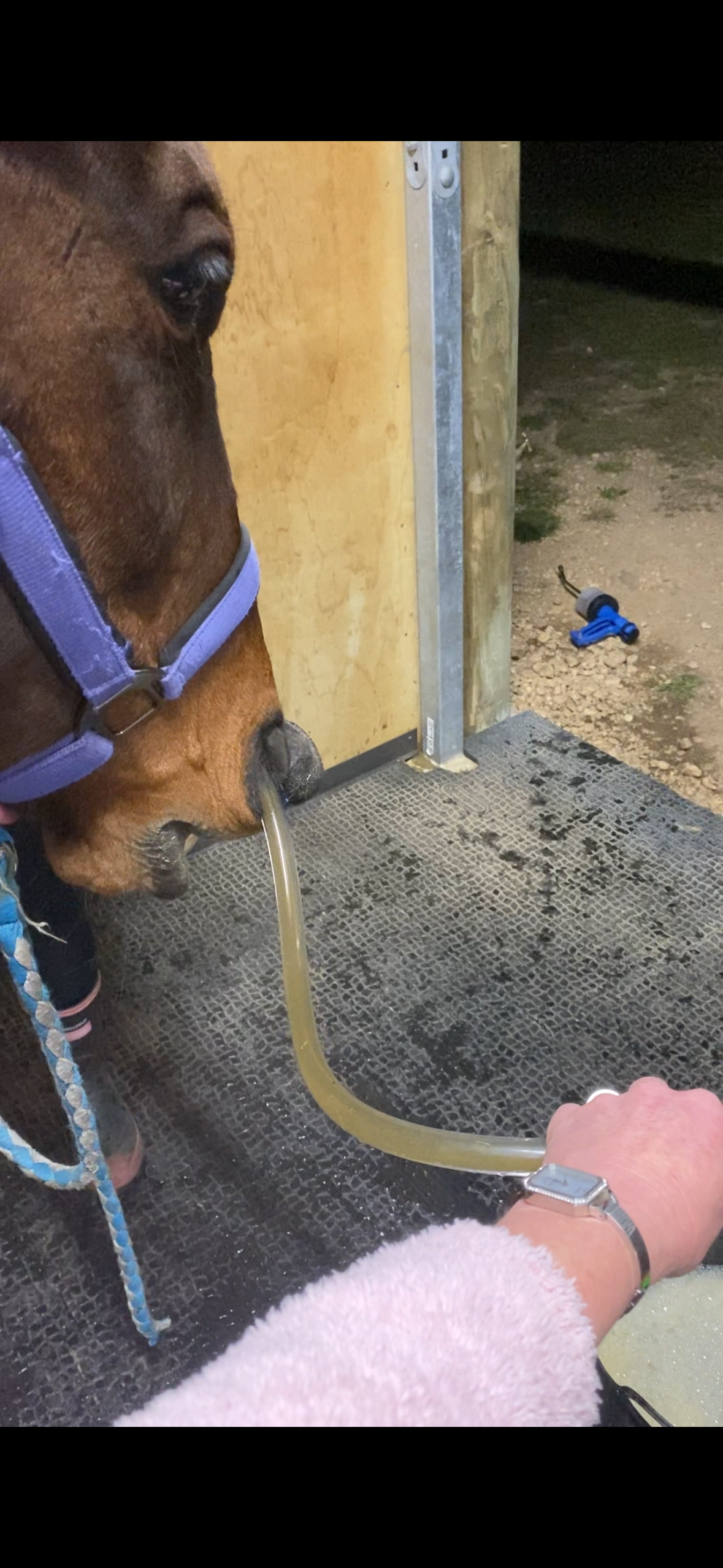 Reflux, what is this?