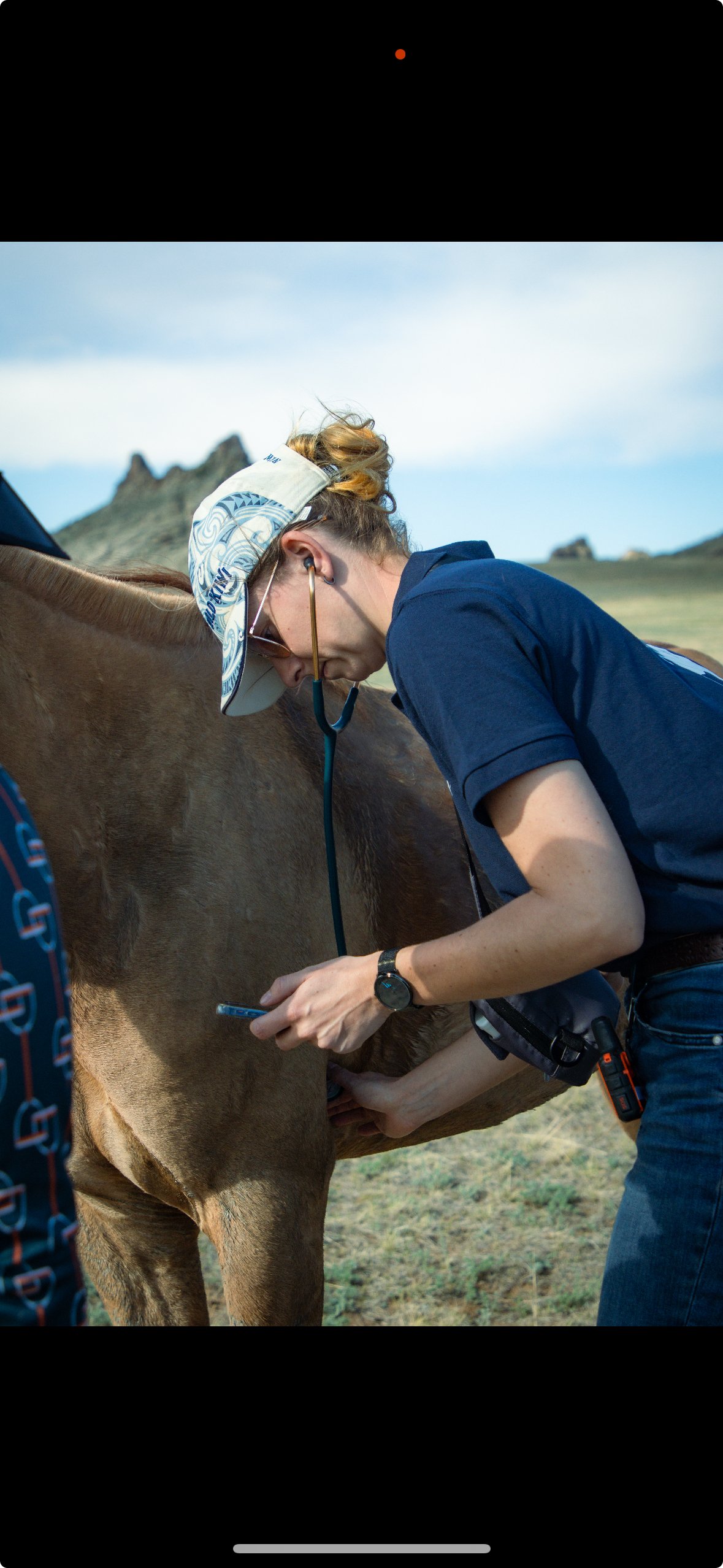 🐴❤️ Atrial Fibrillation in Horses: What’s Happening Inside the Heart ❤️🐴