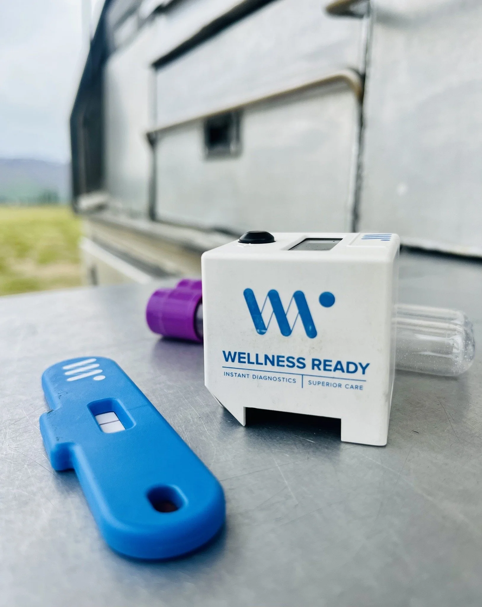 Spring Grass Flush &amp; Laminitis 