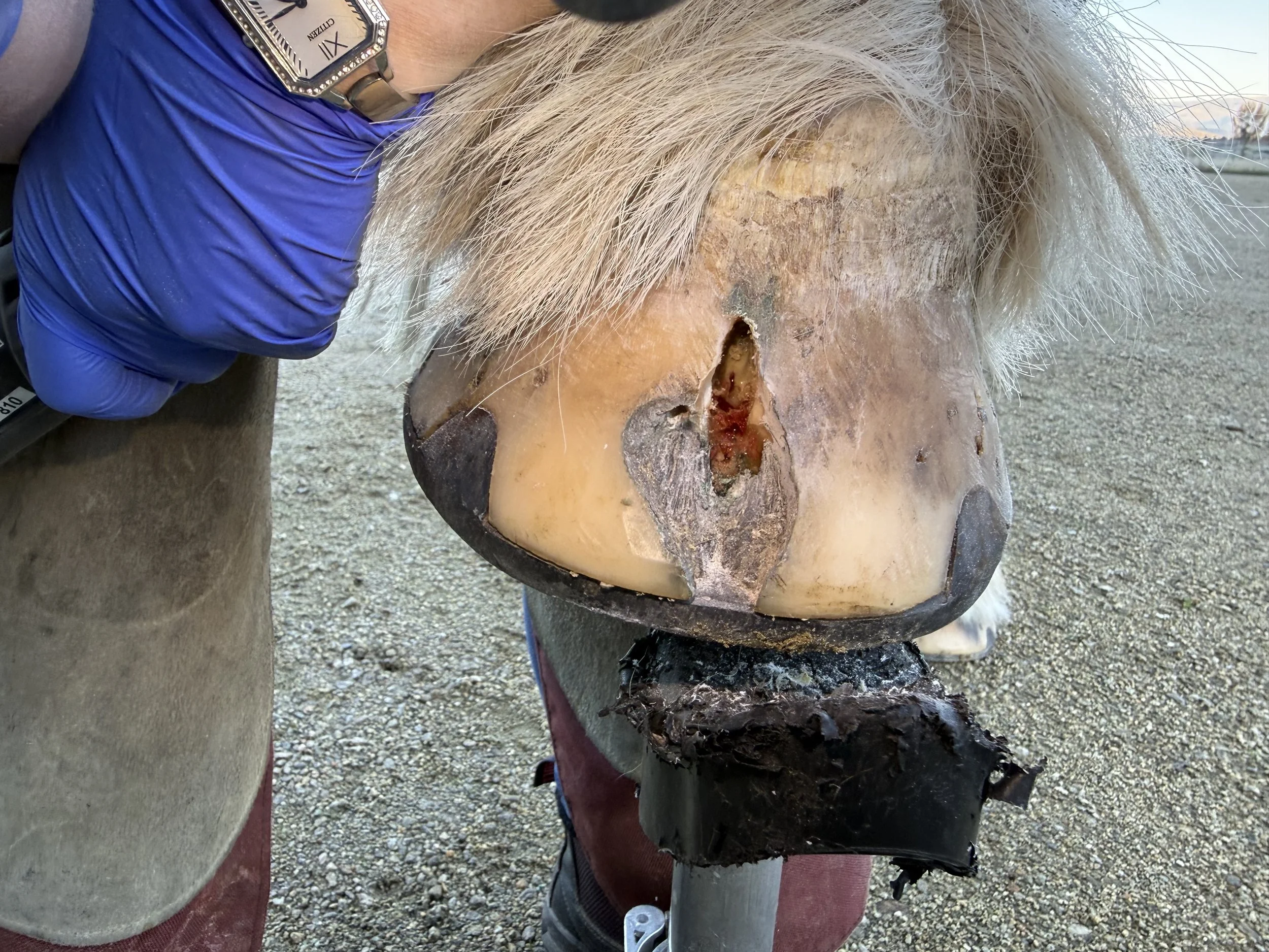 What’s Good About Mud? 