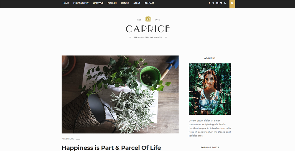 Sixty Eight Ave - Caprice Blogger theme
