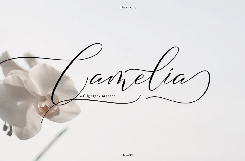 Sixty Eight Ave - 100 Stylish Fonts - Camelia