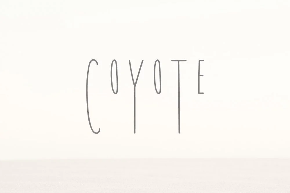 Sixty Eight Ave - 100 Stylish Fonts - Coyote