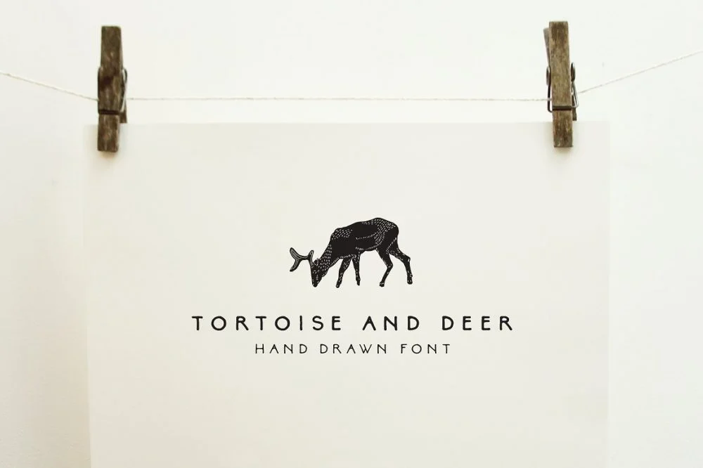 tortoiseanddeer-e1535141584778.jpg