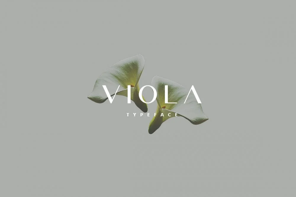 Sixty Eight Ave - 100 Stylish Fonts - Viola