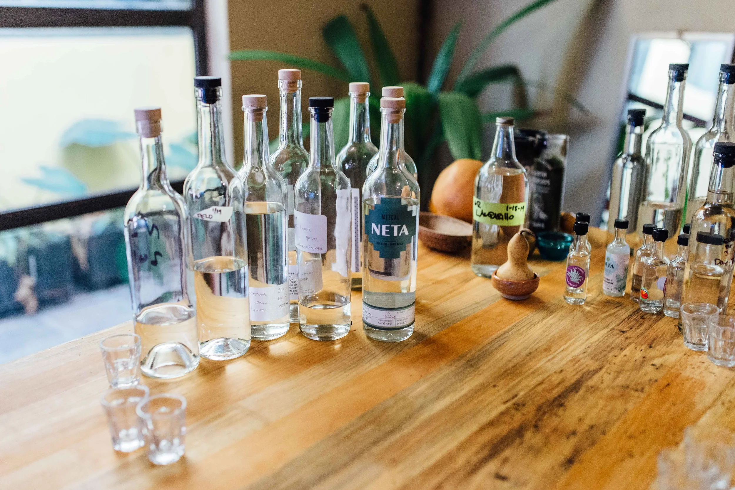 Viva Agave! Meet Niki Nakazawa of Neta Mezcal
