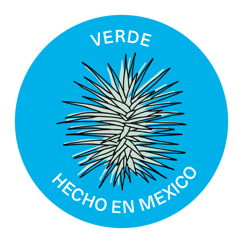 Cuixe Verde (Agave Karwinskii) 