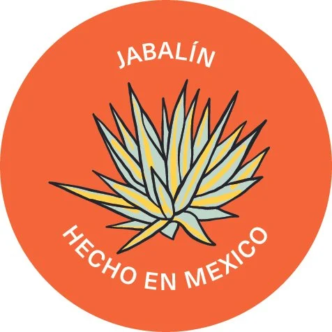 Jabalín (Agave convallis var.)