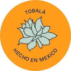 Tobalá (Agave potatorum o Agave seemanniana)