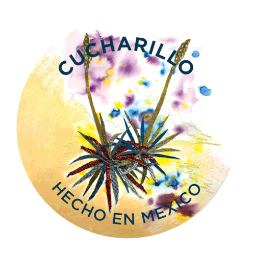 Cucharillo (Dasylirion sp.)