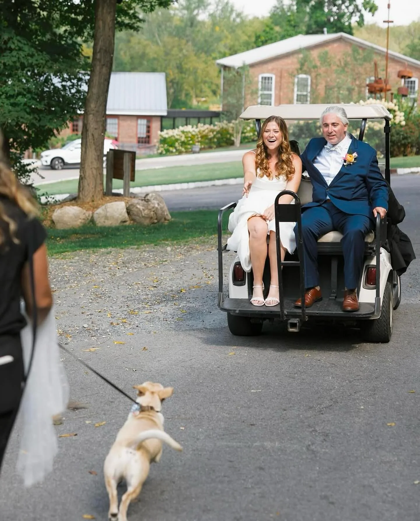 Just Call Dana to&hellip; carry your veil, walk your pup, call for champagne and follow your golf cart to your wedding ceremony!🥂#justcalldana
📸 @lindsaylazarephoto
💐 @lindsayfondo.studio
🏡🍷 @citywineryhv @citywineryhvweddings
&bull;
&bull;
&bul