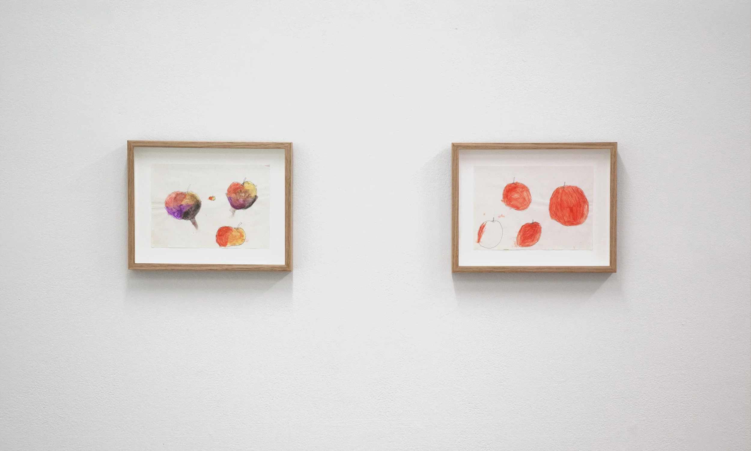apples , 2001/2014 watercolour pencil on paper