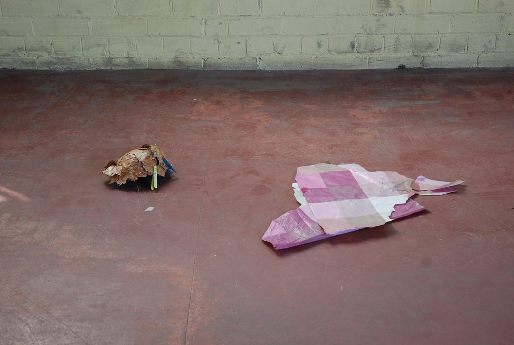 Hat, 2013 autumn leaves, canvas, pegs untitled, 2013 florists tissue paper