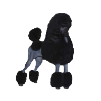 Canzone Standard Poodles