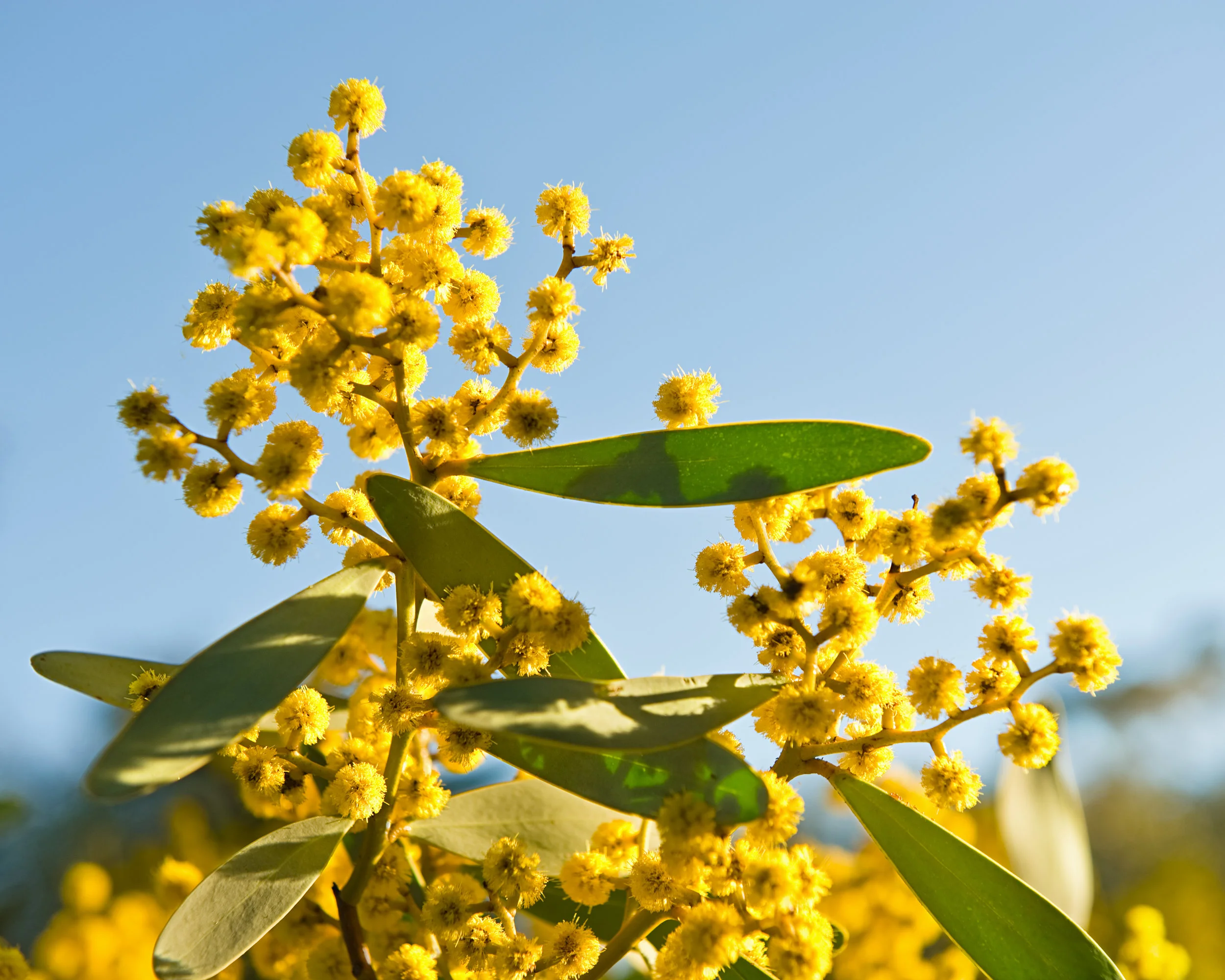 shutterstock_167623199.jpg
