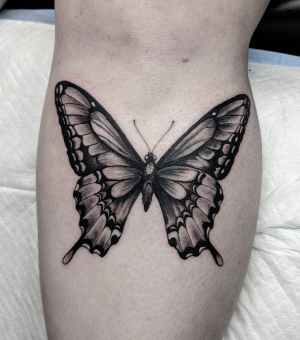 Owen Butterfly.png