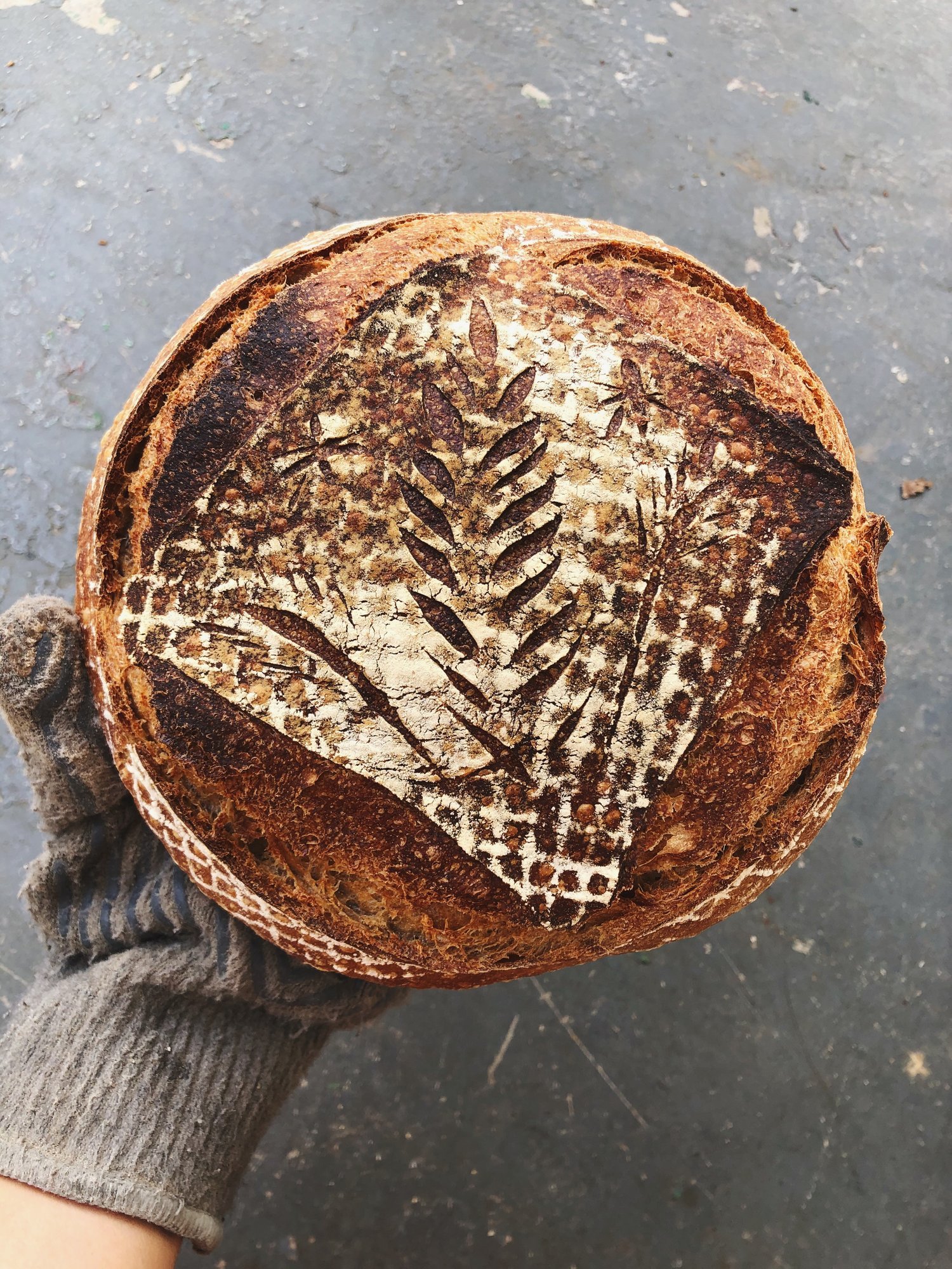 betsy-intro to sourdough.jpeg