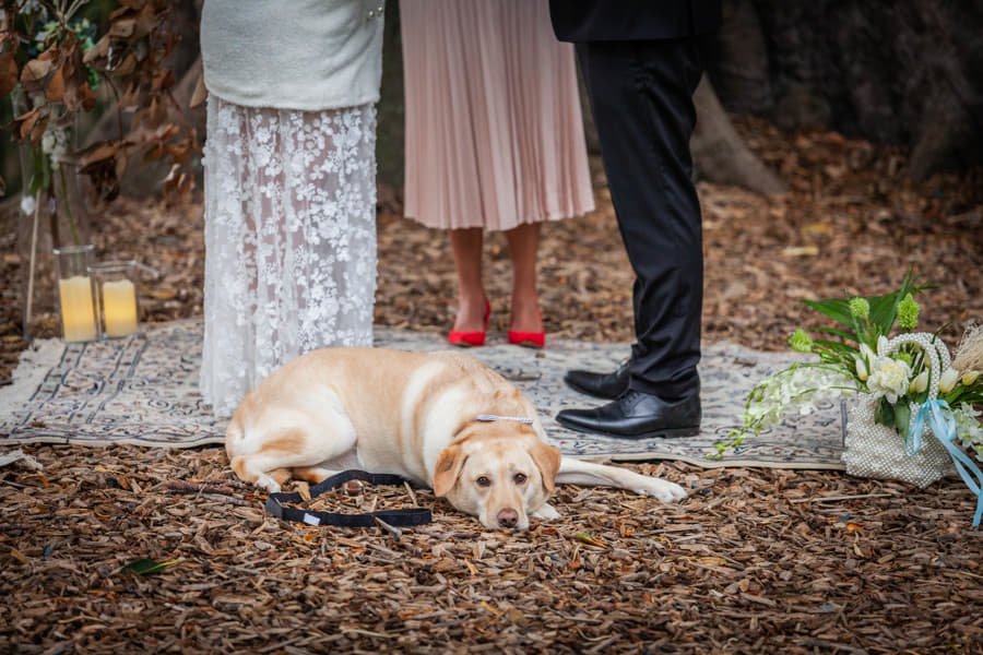 Canberra registry office weddings with a celebrant