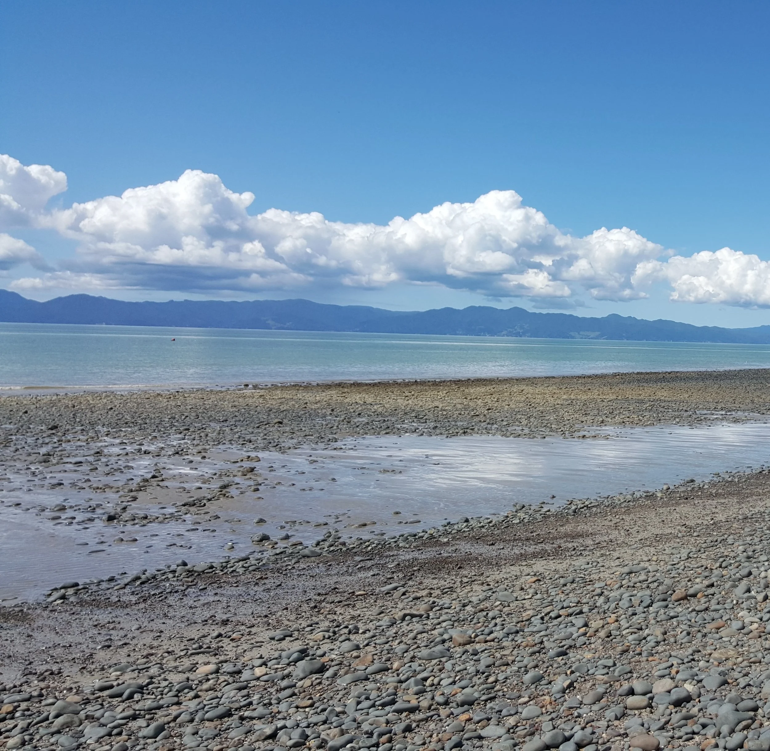Coastal drive to Miranda Hot Springs