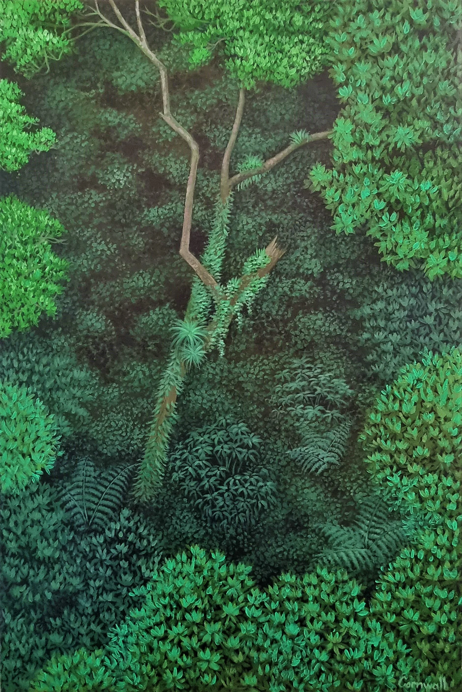 Tree Dive (3).jpg