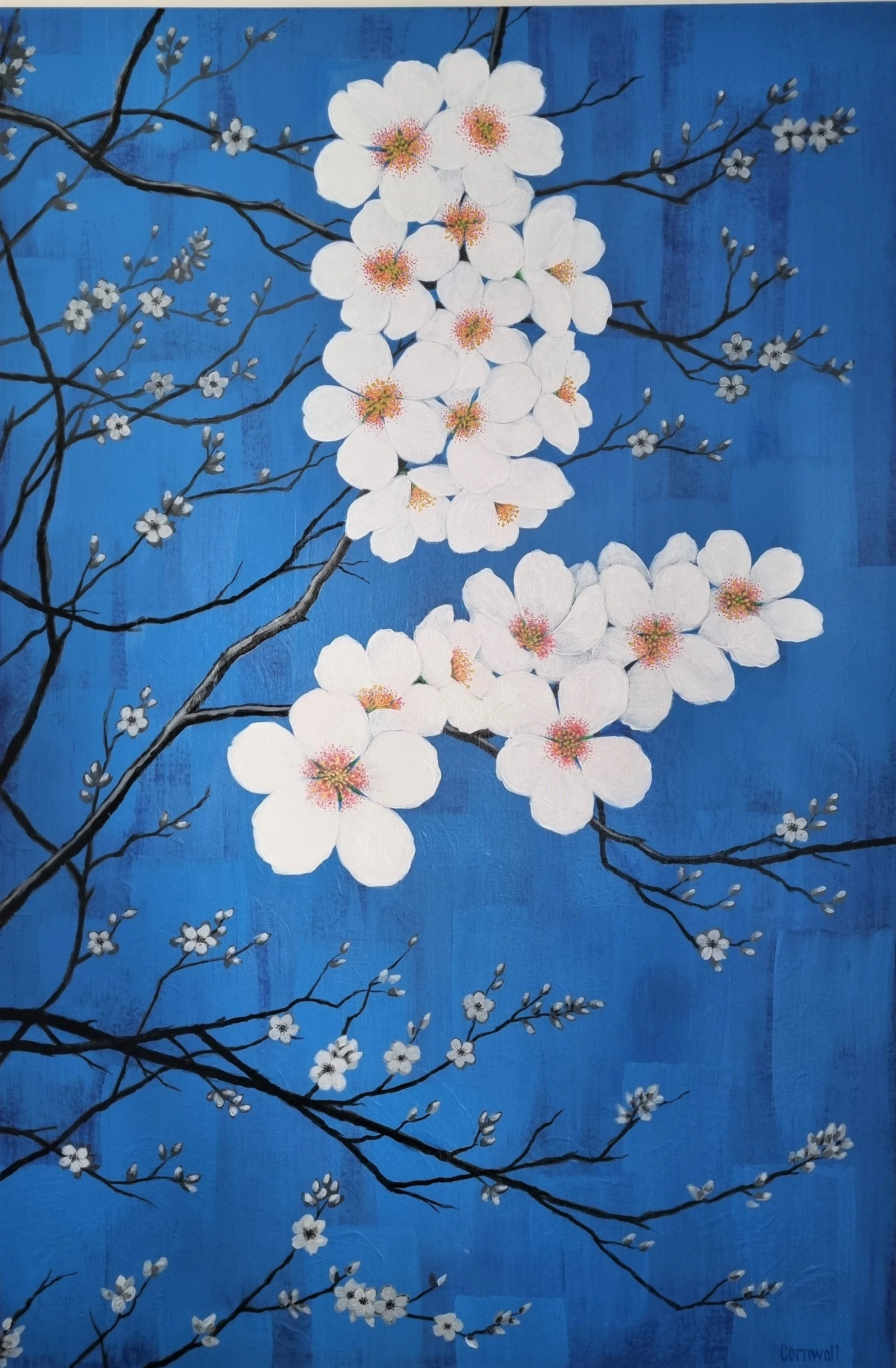 Cherry — Craig Cornwall