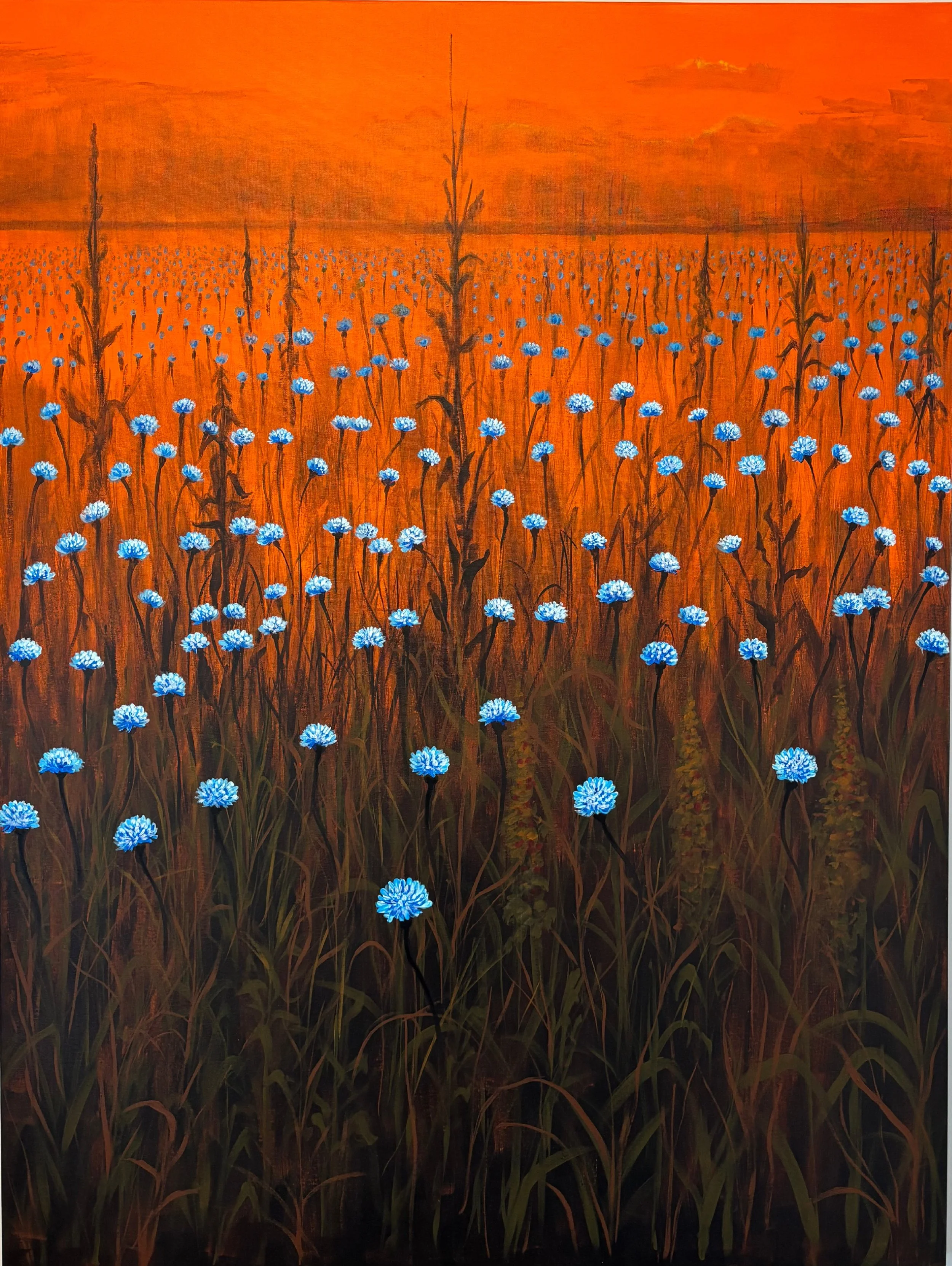 Prairie Sunset.JPG