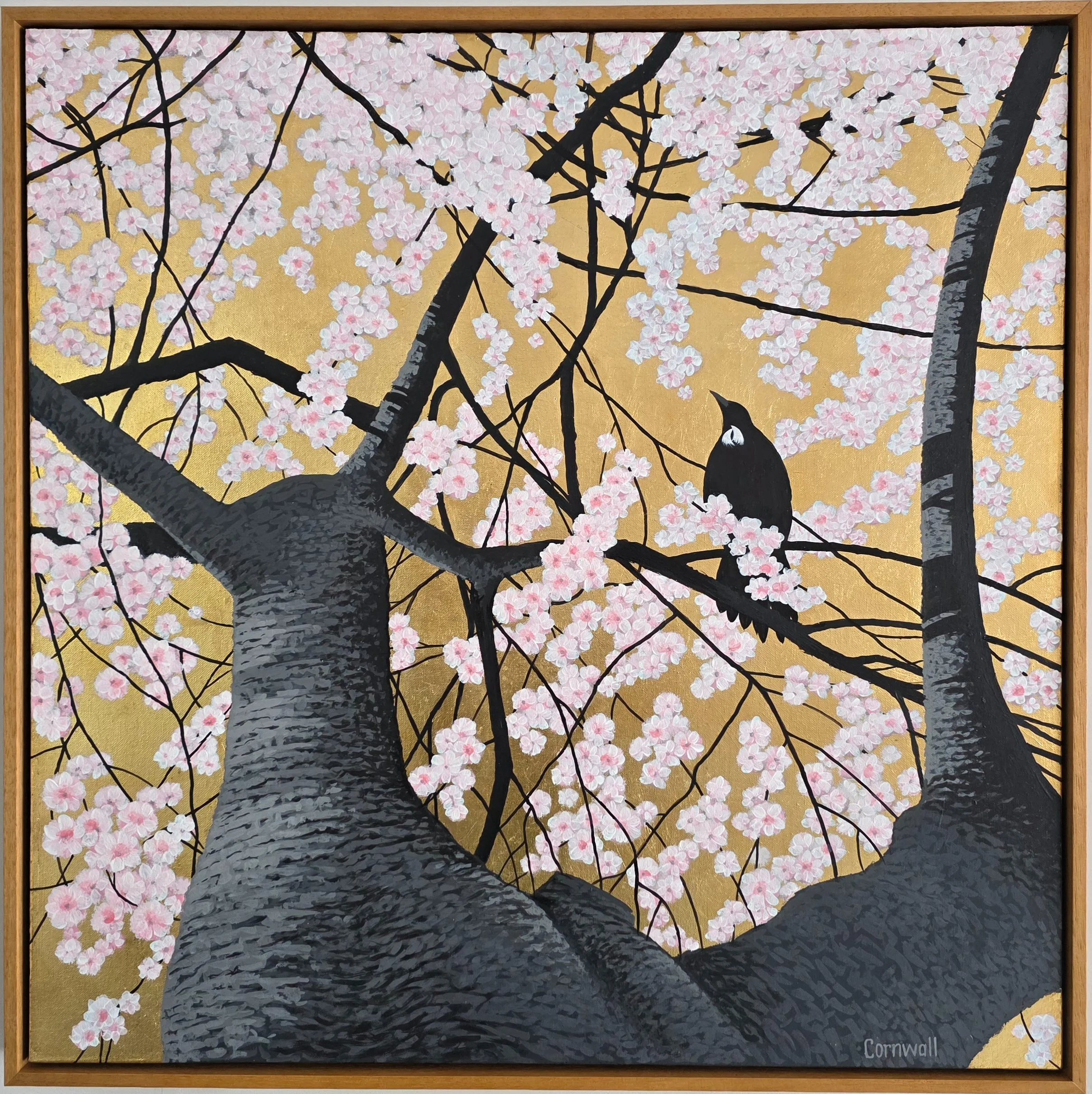 Tui in Cherry tree.jpg