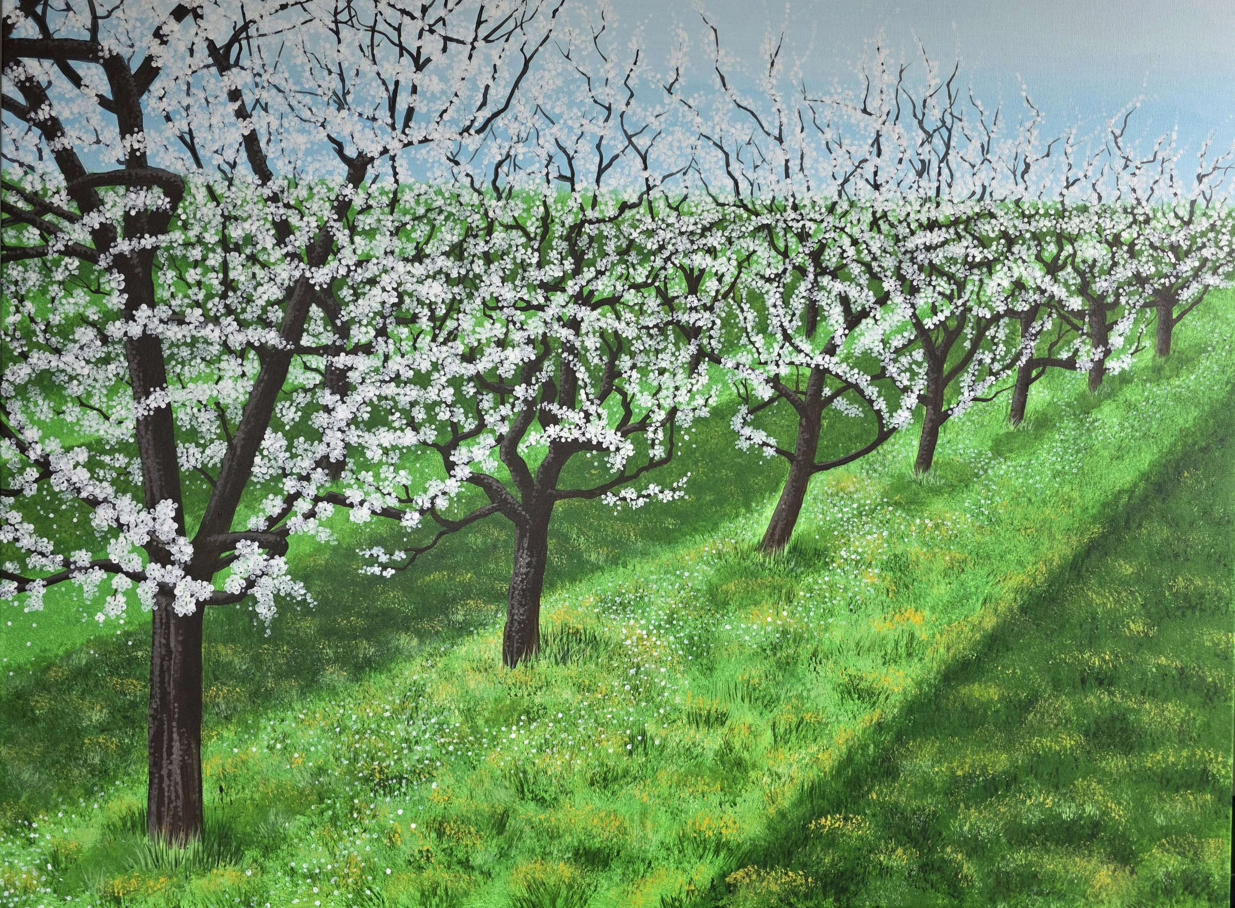 old apple orchard.jpg