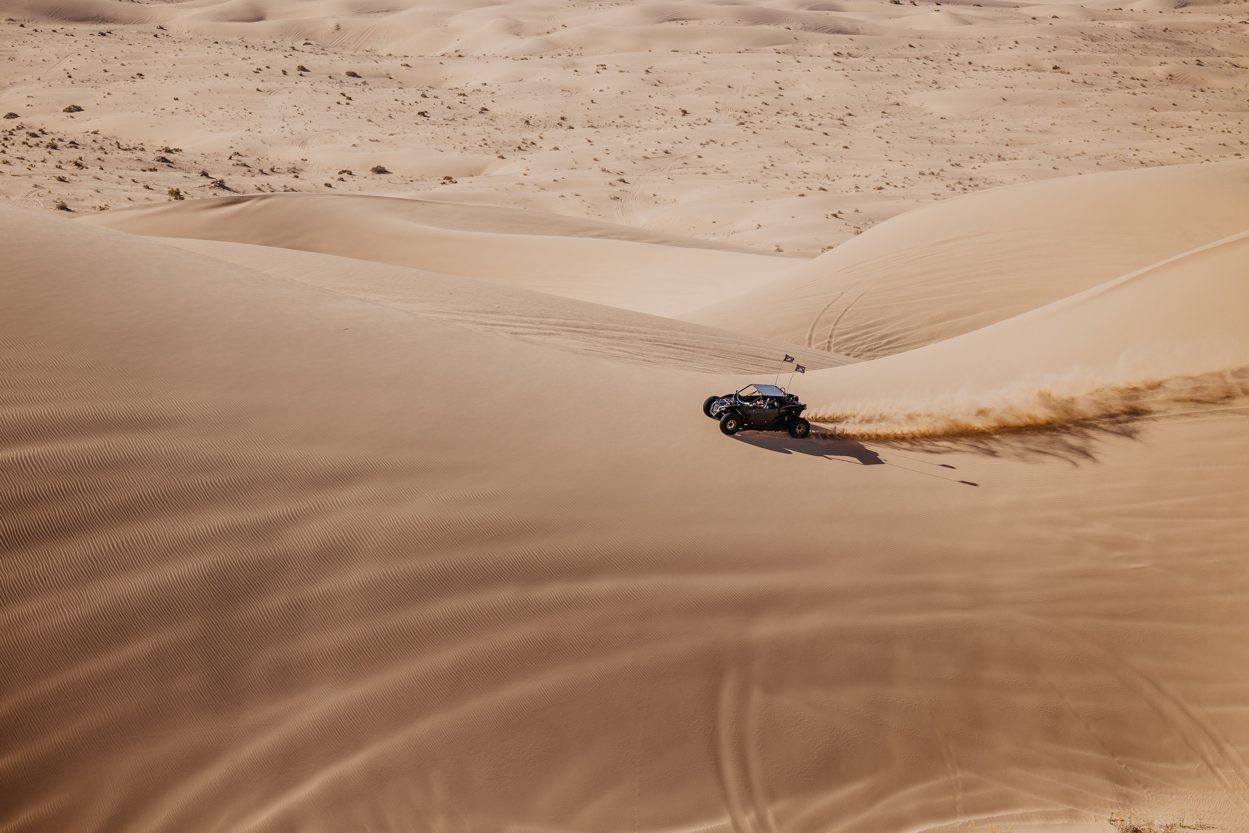 Aaron + Tessera Glamis Sand Dunes-66.jpg