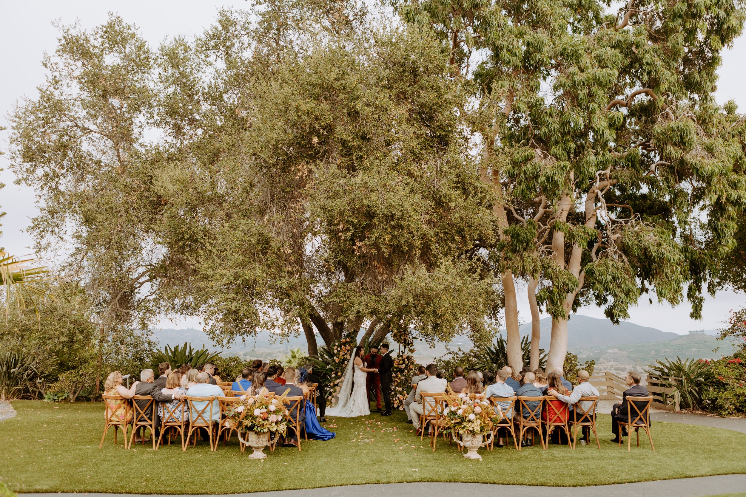 Gina + Oscar's Wedding Tivoli, Fallbrook - San Diego Wedding Photographer-247.jpg