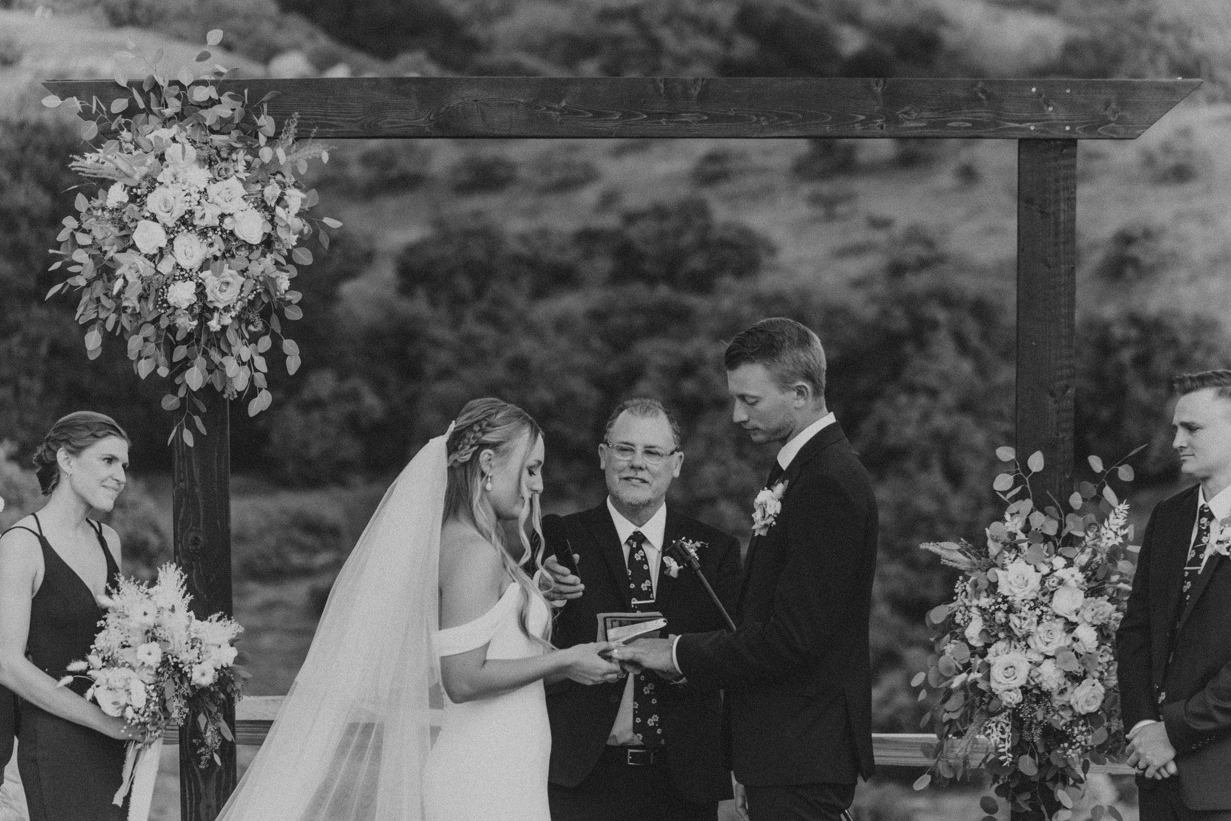 Taylor + Robert's Wedding, Carpinteria - Santa Barbara Wedding Photographer-492.jpg
