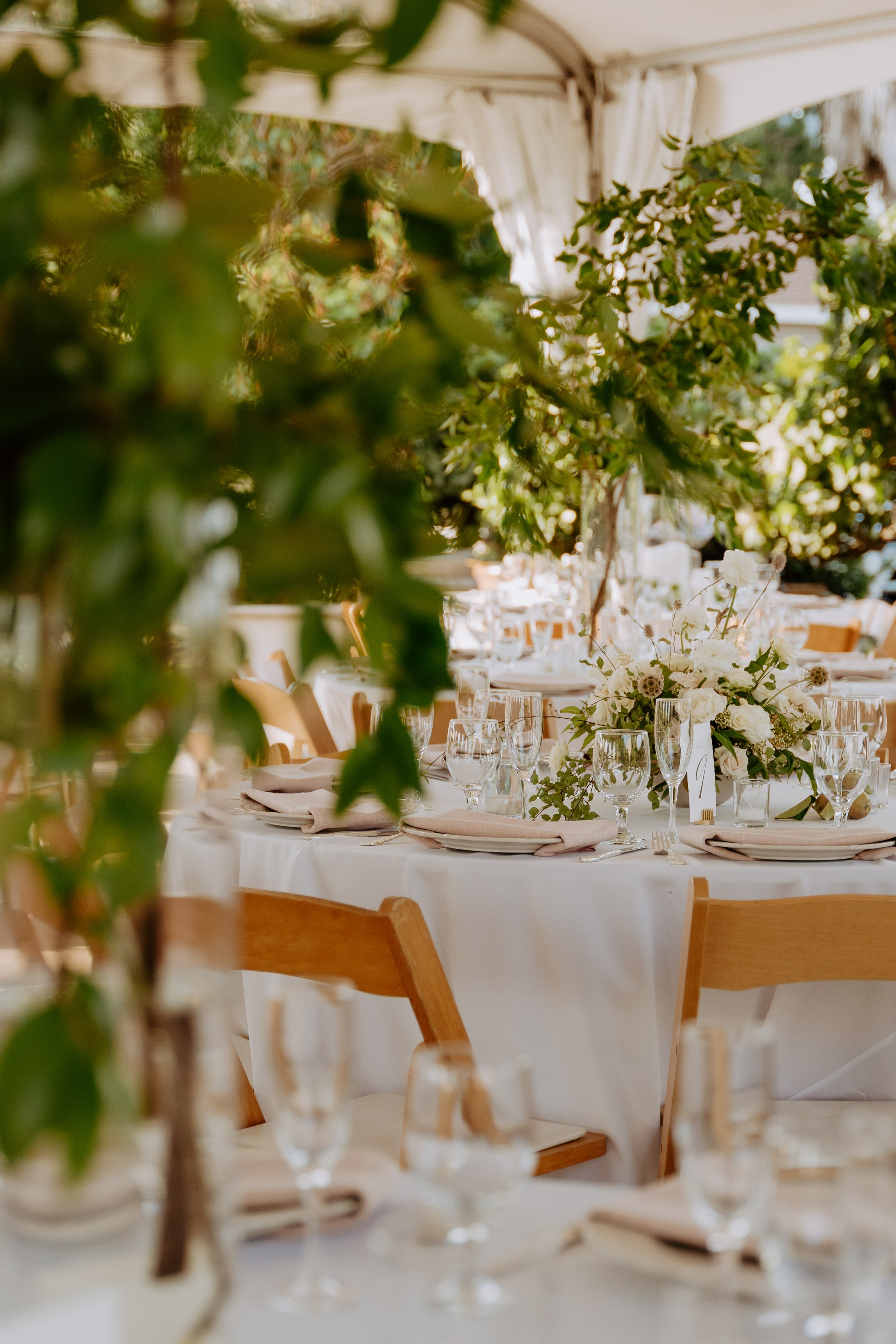 Tiffani + Louis' Wedding - Scribner Bend Vineyards, Sacramento Wedding Photographer-344.jpg