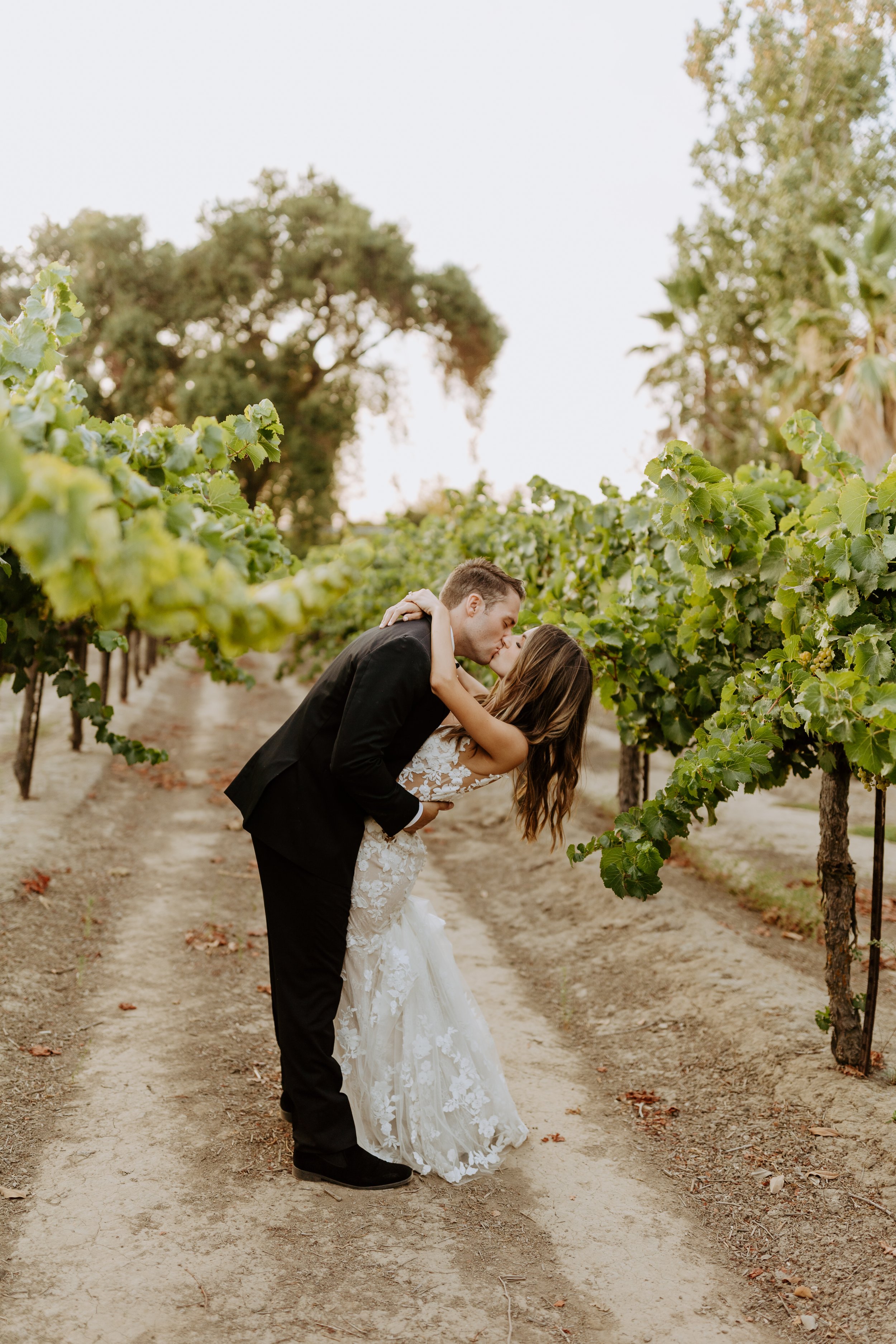 Tiffani + Louis' Wedding - Scribner Bend Vineyards, Sacramento Wedding Photographer-569.jpg