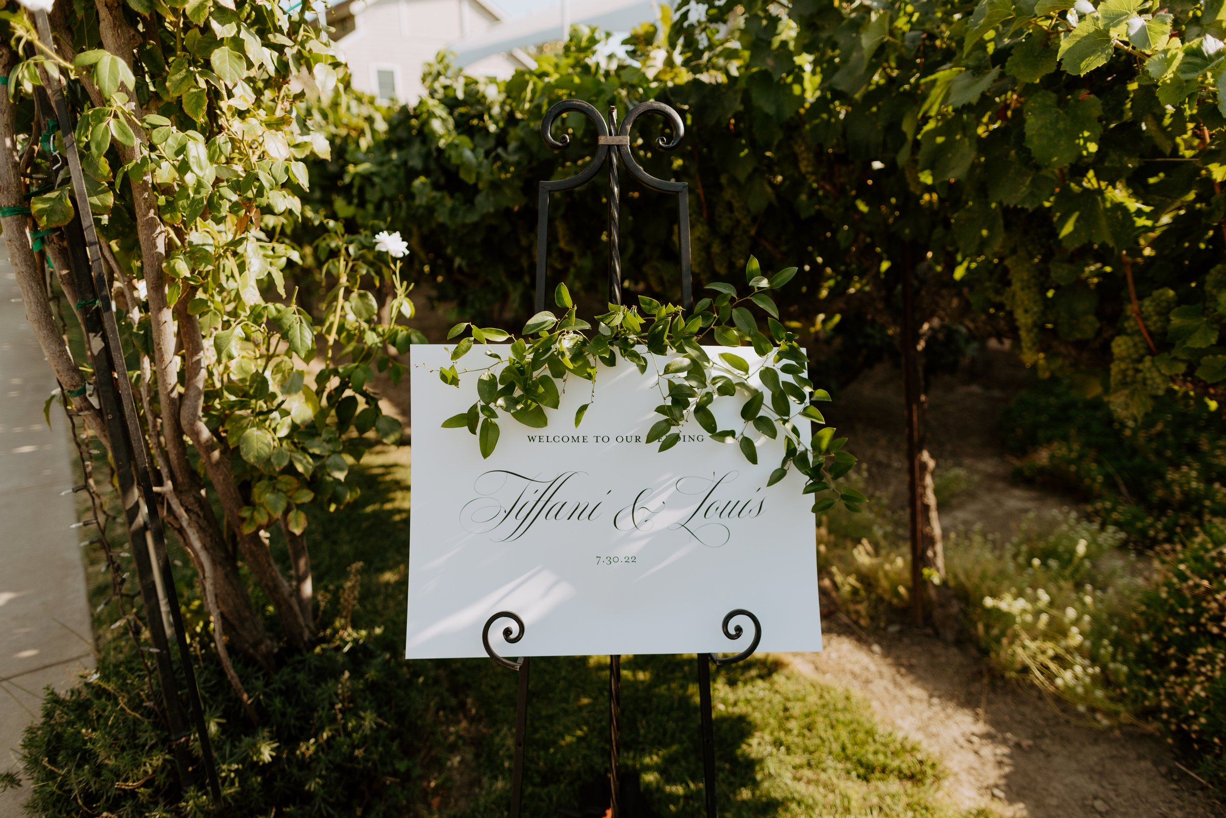 Tiffani + Louis' Wedding - Scribner Bend Vineyards, Sacramento Wedding Photographer-213.jpg