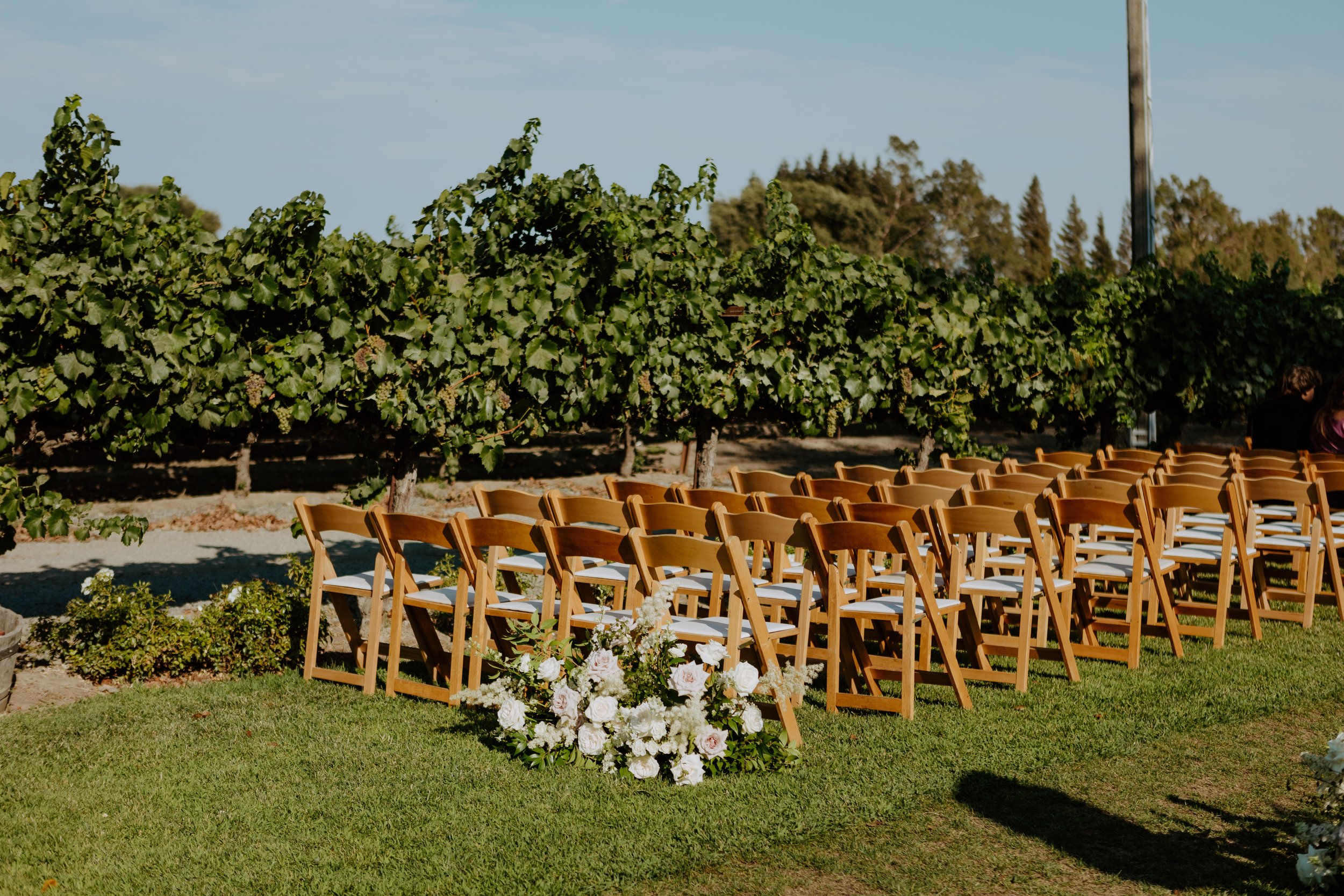 Tiffani + Louis' Wedding - Scribner Bend Vineyards, Sacramento Wedding Photographer-214.jpg