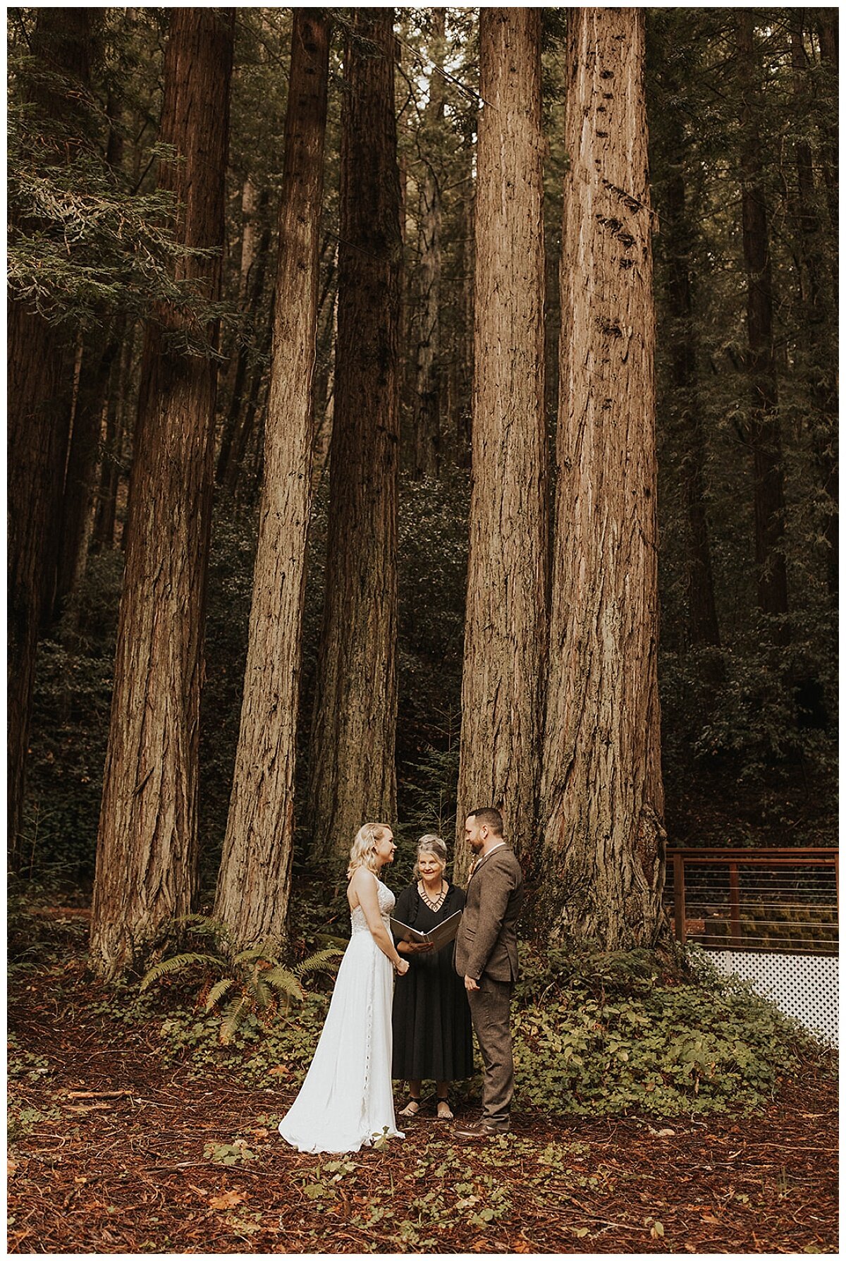 redwood elopement