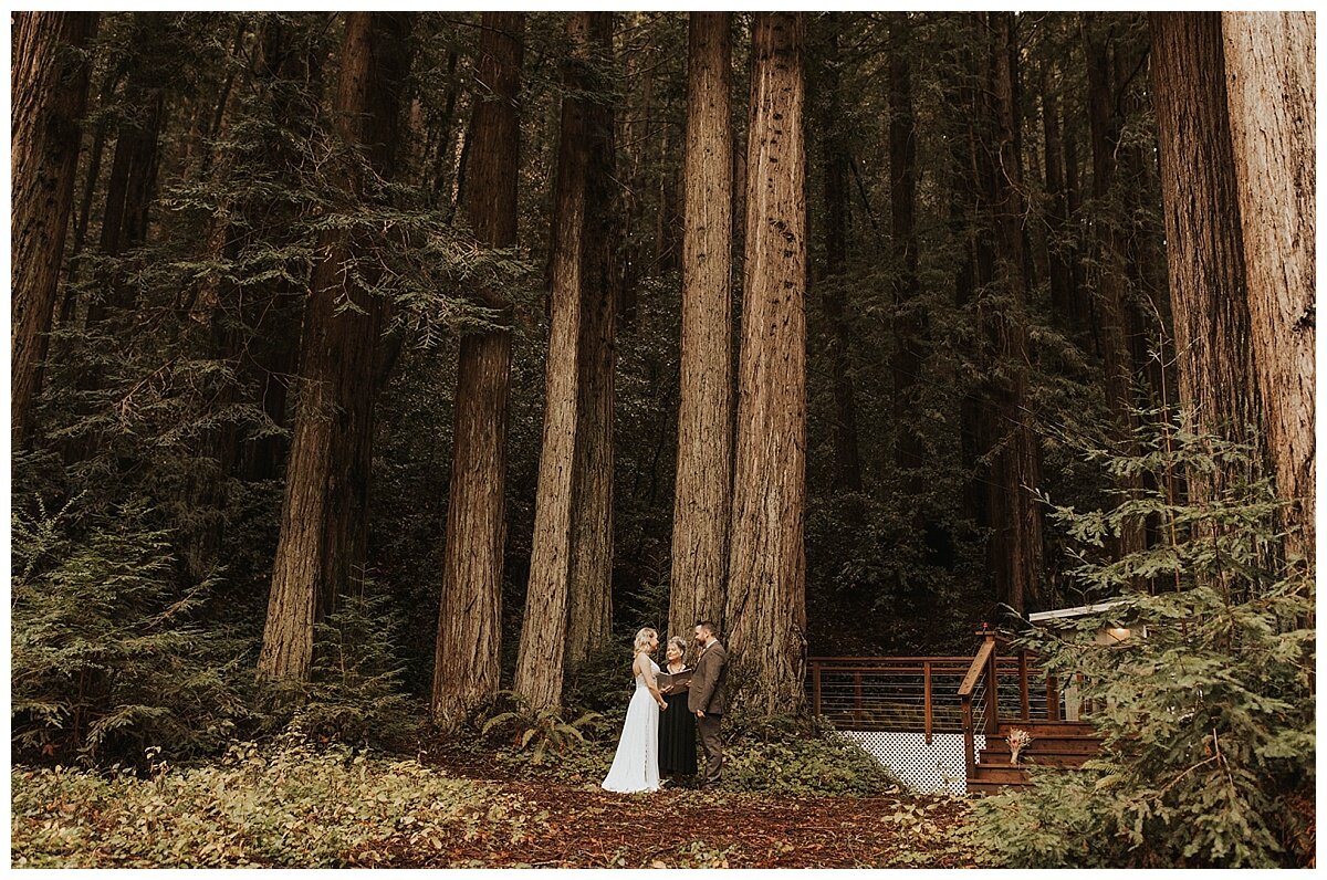 redwood wedding wide shot