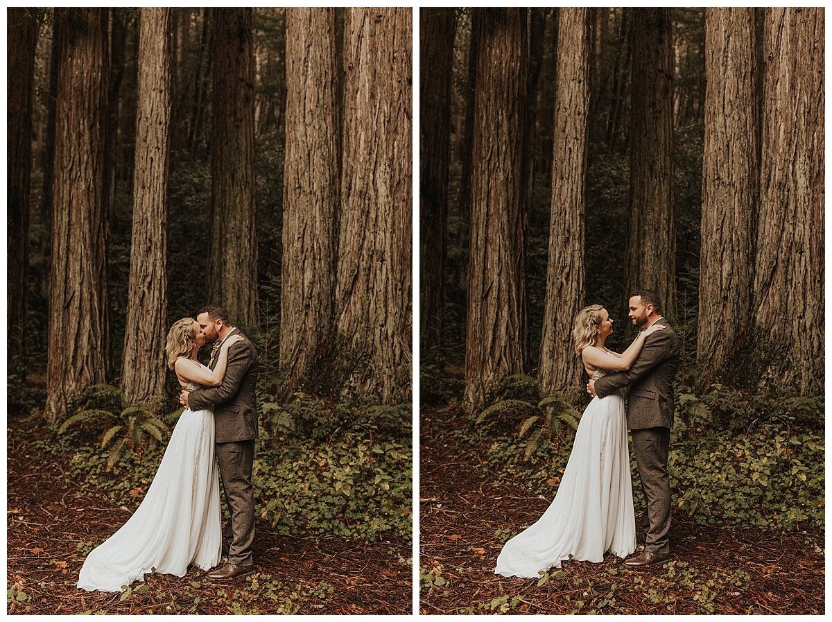 redwood trees wedding bride and groom