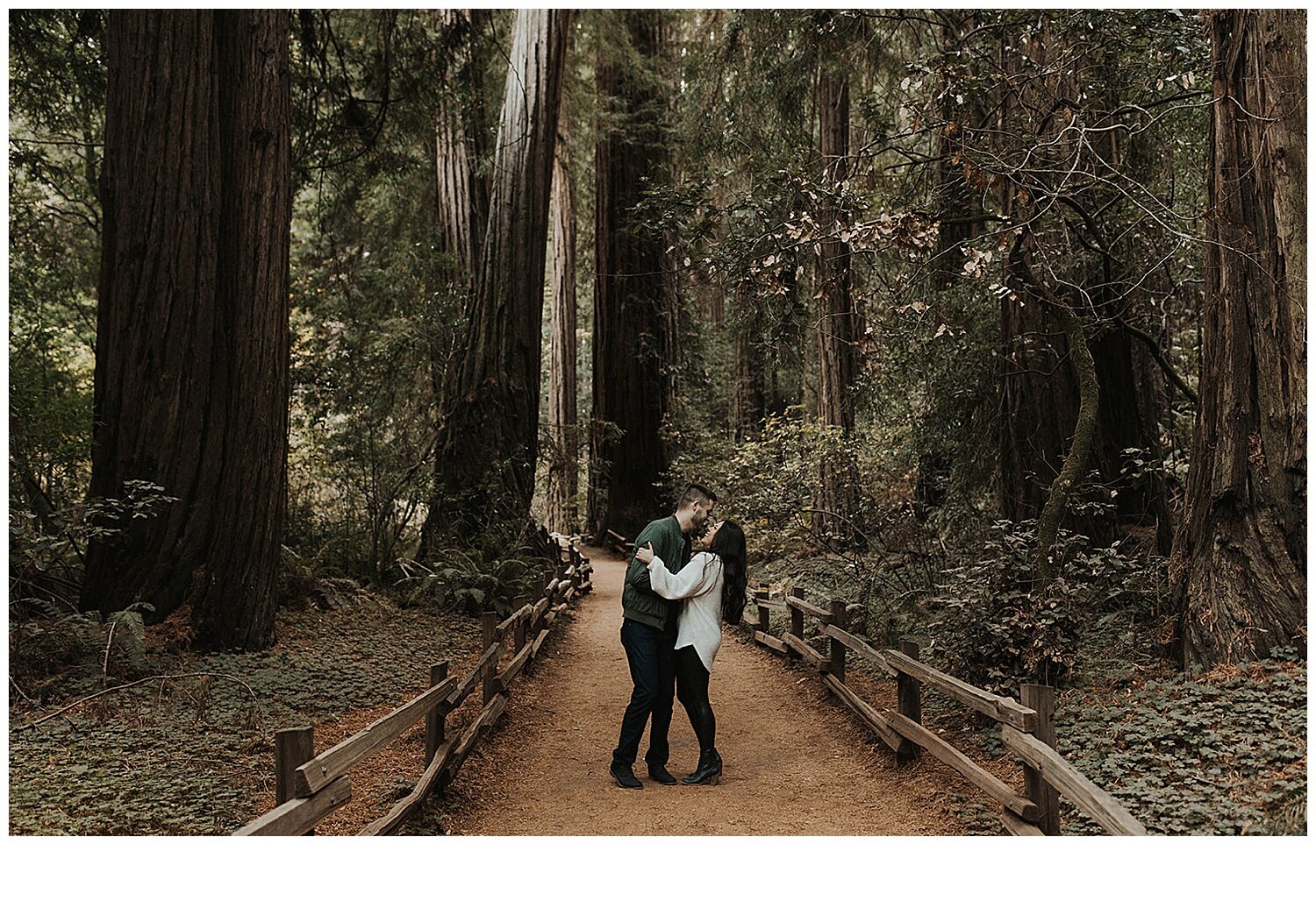 couple redwoods