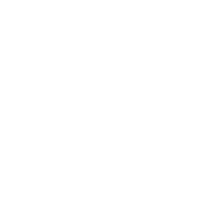 np_woody-allen_105159_FFFFFF.png