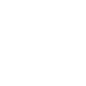 np_leadership_1871904_FFFFFF.png