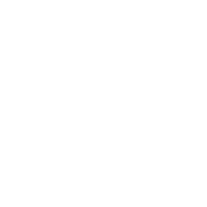 np_crown_1853196_FFFFFF.png