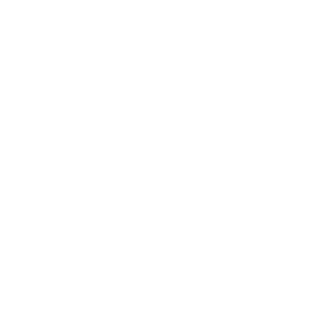 np_internet-of-kings_154816_FFFFFF.png