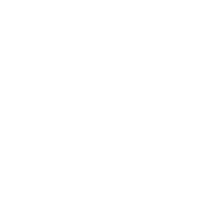np_building_888660_FFFFFF.png